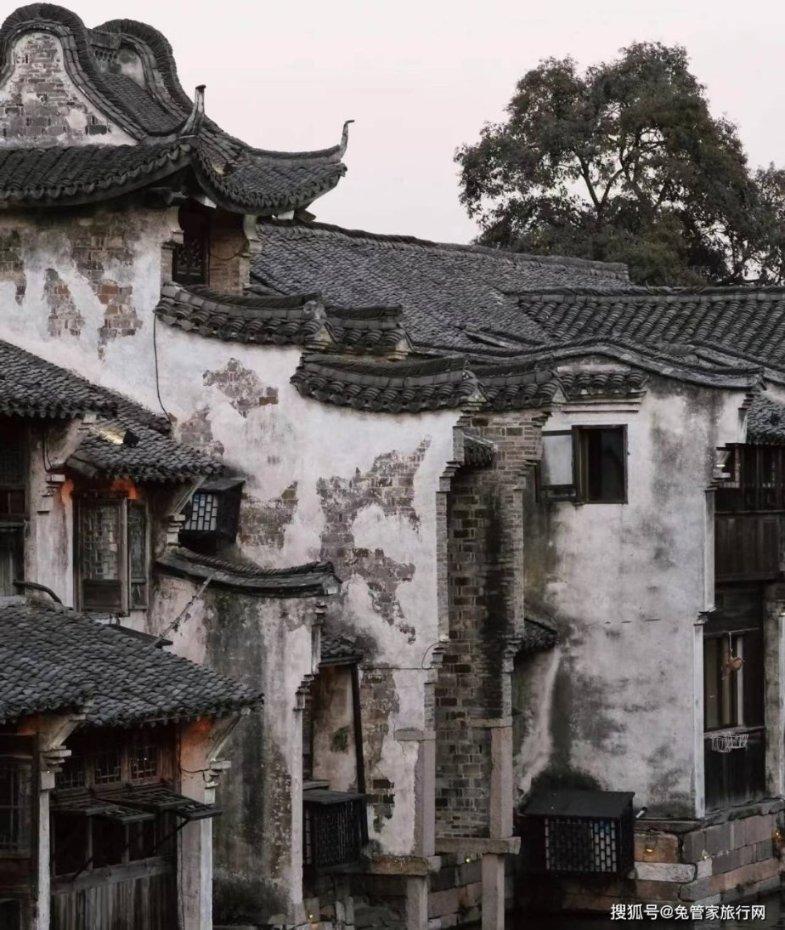 动物帮帮忙保卫家园